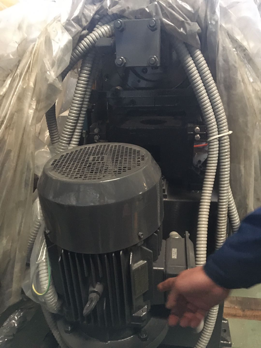 motor motor